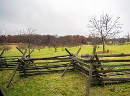 HFA Newsletter #415 Jan 2019 WORKING-3